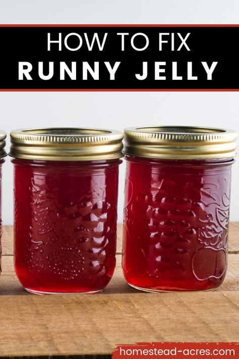 What To Do When Your Jelly Doesn’t Set, How To Can Jams And Jellies, How To Can Jelly, How To Fix Jelly That Didnt Set Up, How To Fix Runny Jelly, How To Fix Jelly That Didn’t Set, Canning Jelly Recipes, Canning Jelly, Canning Jam Recipes