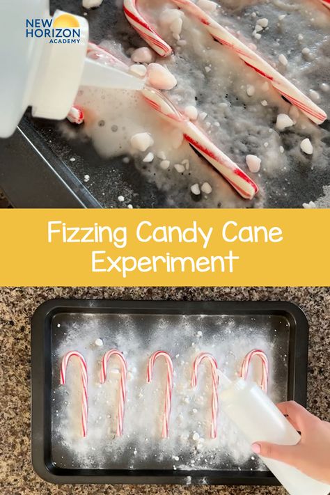 Candy Came Christmas Ideas, Cranberry Science Experiment For Kids, Technology For Preschoolers Activities, Candy Cane Dissolving Experiment, Candy Cane Melting Experiment, Fizzy Candy Cane Experiment, Fizzing Candy Cane Experiment, Dissolving Candy Cane Experiment, Candy Cane Process Art