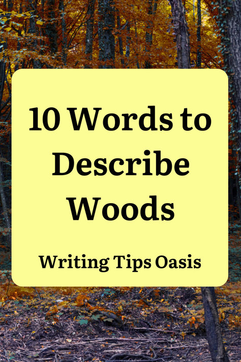 Image of forest and title of pin which is 10 words to describe woods. 2024 Writing, Writing Kids Books, Better Writing, Build A Story, Writing Stories, Writing Things, Writing Books, Writing Exercises, Creating Characters