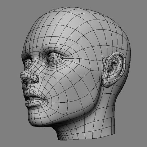 Face Topology, 3d Anatomy, 3d Karakter, Face Anatomy, Zbrush Tutorial, Anatomy Sculpture, 3d Modeling Tutorial, 얼굴 드로잉, 3d Modelle