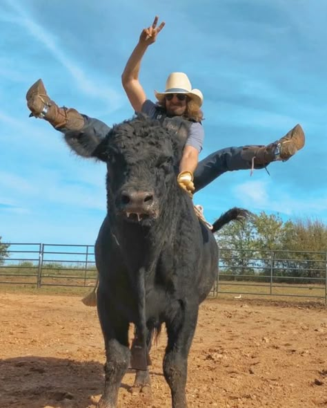 Cool It Cowboy, Dale Brisby, Western Graphics, Show Cows, Rodeo Time, Cowboy Pictures, Bull Rider, Country Hats, Western Photography