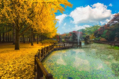 Good List- 15 Best Day Trips from Seoul Seoraksan National Park, Nami Island, Modern Skyscrapers, Gyeongju, Fun Day, Beautiful Places In The World, Travel Insurance, Fall Foliage, International Travel