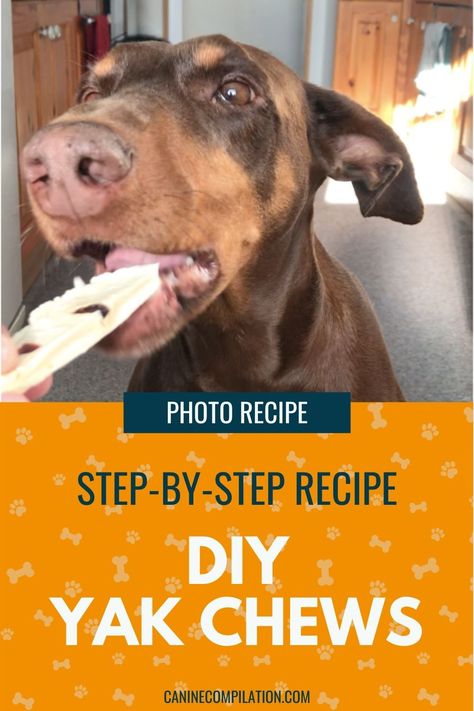 Step-by-step recipe with photos - This yak chew for dogs recipe has only 2 essential ingredients and it's not complicated to make. It takes a little while to dry out, but once it's finished, you'll have a fantastic Himalayan dog chew for a fraction of the store price, plus your dog will adore you for it! Dog Chews Homemade, Dog Treats Homemade Easy, Easy Dog Treat Recipes, Easy Dog Treats, Healthy Dog Treats Homemade, Dog Wellness, Cheese Dog, Diy Dog Treats, Treat Recipes