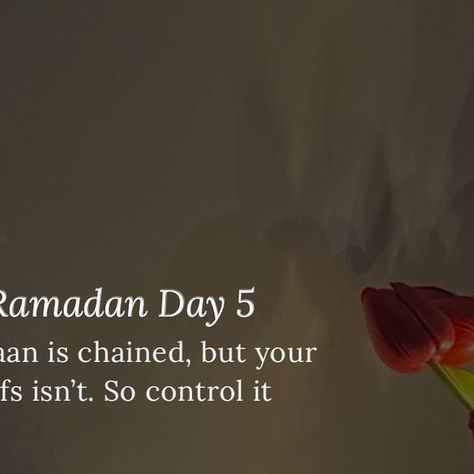 𝙐𝙯𝙖𝙞𝙧 on Instagram: "Ramadan Day 5 🤍🤍
.
.
.
.
.
.
.
Photo credits to its respective owner
#islamictimes ~" Ramadan Day 5, Ramadan Day, Photo Credit, Ramadan, On Instagram, Instagram