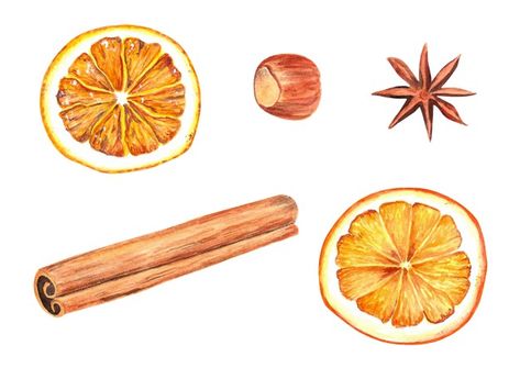 Watercolour Foliage, Mulled Wine Spices, Autumn Moodboard, Orange And Cinnamon, Perfume Notes, Cinnamon Orange, Fruits Drawing, Orange Christmas, Christmas Elements