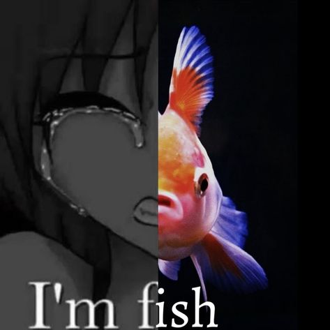 Janet Core, Shark Person, Fish Pfp, Fish In Ocean, How To Draw Fish, Fish Aesthetic, Reaction Photos, Random Pfp, Funny Fish