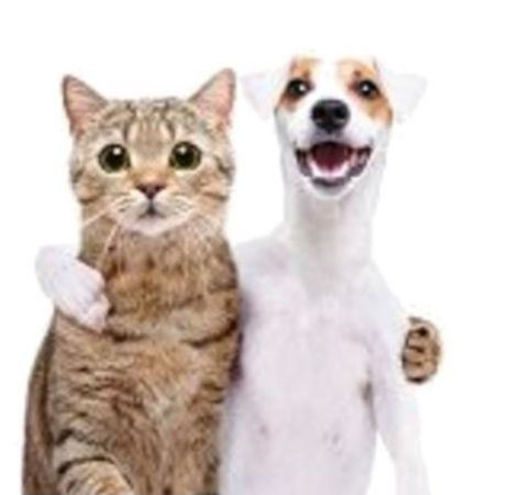 Dogs Hugging, Names Girl, Silly Cats Pictures, Silly Dogs, Silly Images, Silly Animals, Russell Terrier, Silly Pictures, Dog And Cat