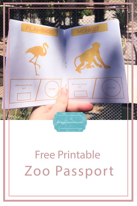 Zoo passports are always handy. It's a fun activity that give kids a mission while exploring the zoo. Zoo School Activities, Zoo Field Trip Activities Kindergarten, Zoo Homeschool Trip, Zoo Activities For Middle School, Zoo Ticket Printable Free, Homeschool Zoo Trip Free Printable, Zoo School Project, Free Zoo Animal Printables, Zoo Homeschool Activities