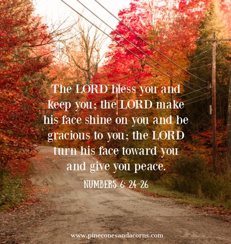 Numbers 23:19, Numbers 6:26, Numbers 6:24, Numbers 23:23 Bible Verse, Numbers 6:24-26, Numbers 6:24-26 Bible Verses, What Am I Missing, Butternut Squash Cake, Grace Adler