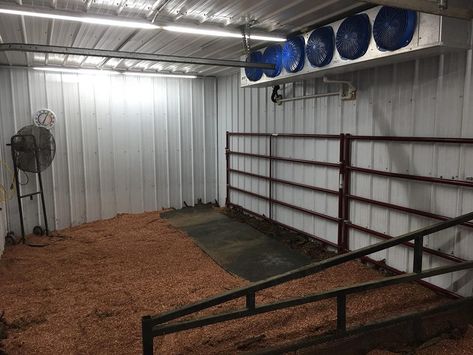 Show cattle barn Show Cattle Wash Rack, Show Cattle Barn Layout, Cattle Working Pens Design, Goat Milking Parlor, Small Cattle Working Pens, Cattle Barn Designs, Cattle Sorting Pens, Show Cattle Barn, Cattle Feeder