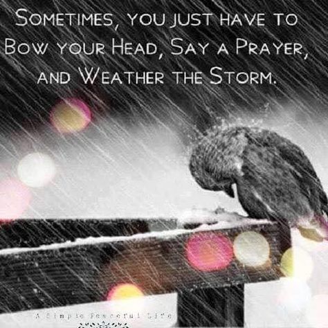 Weather The Storm Quotes, Outdoor Christmas Photos, Storm Quotes, Picture Quote, Say A Prayer, Inspirational Quotes Pictures, A Prayer, Power Of Prayer, A Quote