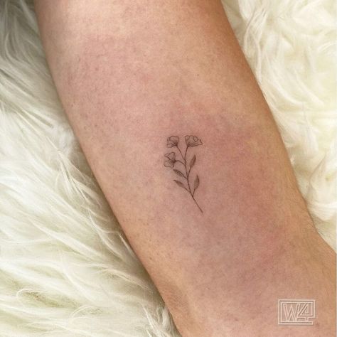 Sweet Pea Rib Tattoo, Tattoo Ideas Sweet Pea, Sweet Pea Minimalist Tattoo, Sweet Pea Tattoo Small Simple, Sweat Peas Flowers Tattoo, Sweet Pea Plant Tattoo, Violets And Roses Tattoo, Sweet Pea Tattoo Black, Sweet Pea Flowers Drawing Tattoo Ideas