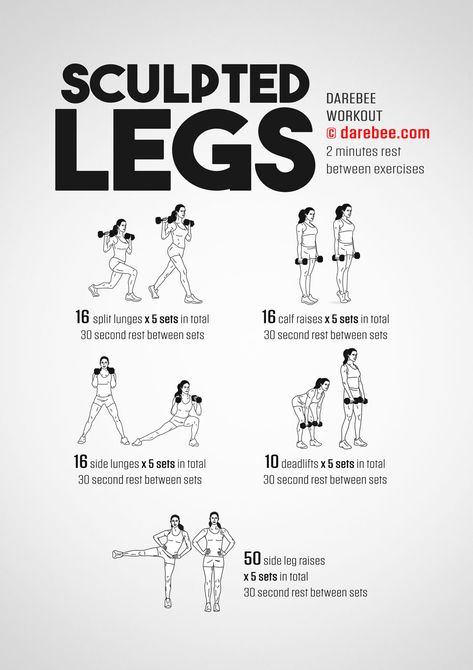 Darebee Legs Workout, Lower Body Strength Workout Dumbbell, Leg Muscle Building Workout, Xena Workout, Chun Li Workout Routine, Sculpted Legs Workout, Glutes Workout With Dumbbells, Darebee Leg Workout, Legs Bums And Tums Workout