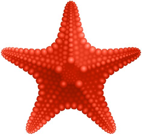 Starfish Clipart, Free Clipart, Kids Art Projects, Clipart Images, Transparent Png, Image Gallery, Png Image, Starfish, High Quality Images