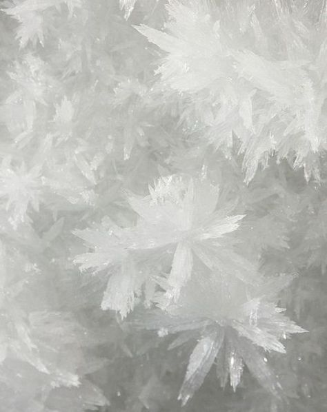 Image de cold, crystal, and ice Tokujin Yoshioka, Oc Pokemon, Crystal Formations, Snow Flakes, White Dragon, Snow Queen, Ice Queen, Sculpture Installation, Shades Of White