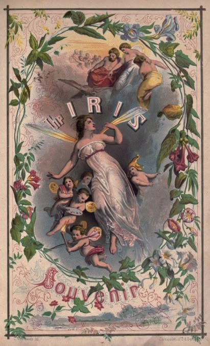 The Iris: an Illuminated Souvenir (1852) -  Lippincott, Grambo & Co. (book cover) Internet Archive, A Woman, Free Download, Internet, Flowers