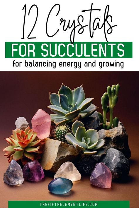 Crystals For Succulents Power Of Crystals, Succulent Collection, Best Crystals, Crystal Meanings, Succulent Garden, 10th Birthday, Succulents Garden, Overall Health, Plant Life