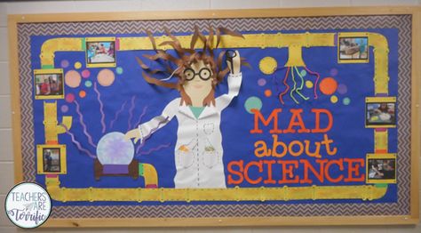 Science Bulletin Board! This post tells a way to re-purpose this amazing board. When I took this board down I saved all the pieces and re-used them in another amazing version. Read to see how! Science Display, Science Bulletin Boards, Science Room, Teacher Bulletin Boards, Science Boards, Library Bulletin Boards, 4th Grade Science, 6th Grade Science, School Displays