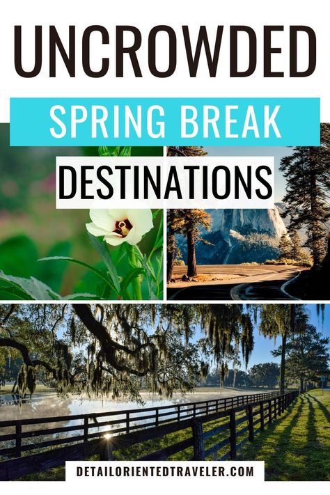 These quiet spring break destinations for families are all in the United States, making it easy for you to fly or drive. These spring break ideas are all family-friendly, mostly avoid the crowds, and are a mix of warmth, adventure, outdoor activities, or skiing. Spring Break Dinner Ideas, Spring Break Kids Family Trips, Things To Do For Spring Break, Spring Break In Texas, Spring Break Places To Go, Texas Spring Break With Kids, Midwest Spring Break Trips, Spring Break Ideas For Teens, Spring Break Destinations Usa