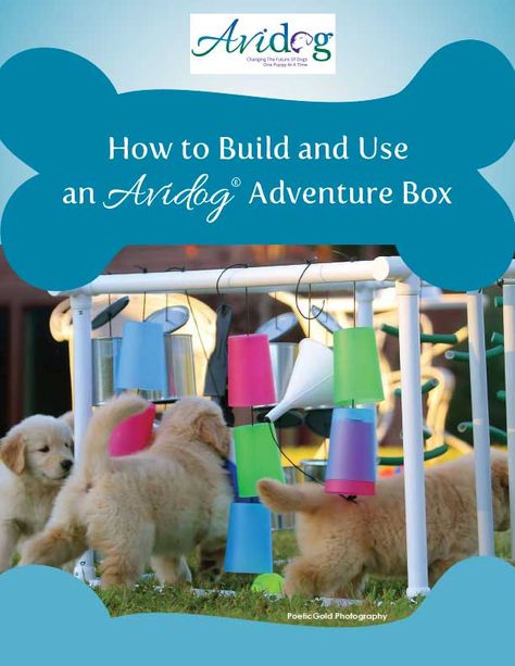 How To Build And Use An Avidog Adventure Box - Avidog University Store Playpen Ideas, Dog Whelping Box, Whelping Puppies, Breeding Dogs, Boarding Kennels, Puppy School, Puppy Litter, Puppy Breath, Whelping Box