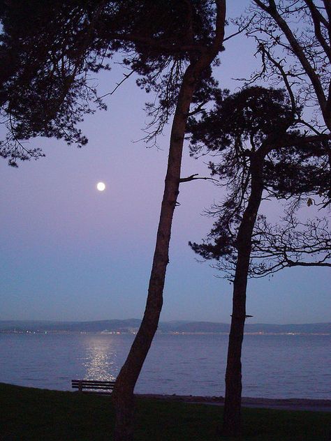 Swansea bay from West Cross by MEEB FORMAN, via Flickr Runswick Bay, Wineglass Bay, Barafundle Bay Wales, Swansea Bay, Tribune Bay Beach, Gower Peninsula, Happiness Is A Choice, Swansea, South Wales