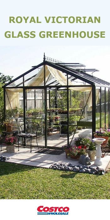 Royal Victorian Glass Greenhouse available at Costco. Victorian Greenhouse, Victorian Greenhouses, Conservatory Greenhouse, Diy Greenhouse Plans, Best Greenhouse, Indoor Greenhouse, Greenhouse Interiors, Home Greenhouse, Backyard Greenhouse