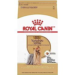 The Best Dog Foods for Yorkies (Reviews & Guide) in 2023 - The Great Pets Dog Foods, Canned Dog Food, Yorkie Lovers, Dog Personality, Yorkshire Terriers, Royal Canin, Yorkie Dogs, Best Dog Food, Yorkie Puppy