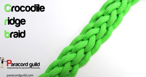 6 strand crocodile ridge braid tutorial. 6 Strand Paracord Braid, Weaving Knots, Paracord Supplies, Paracord Bracelet Instructions, Cord Bracelet Diy, Braided Paracord, Paracord Weaves, Bubble Dog, French Braids Tutorial