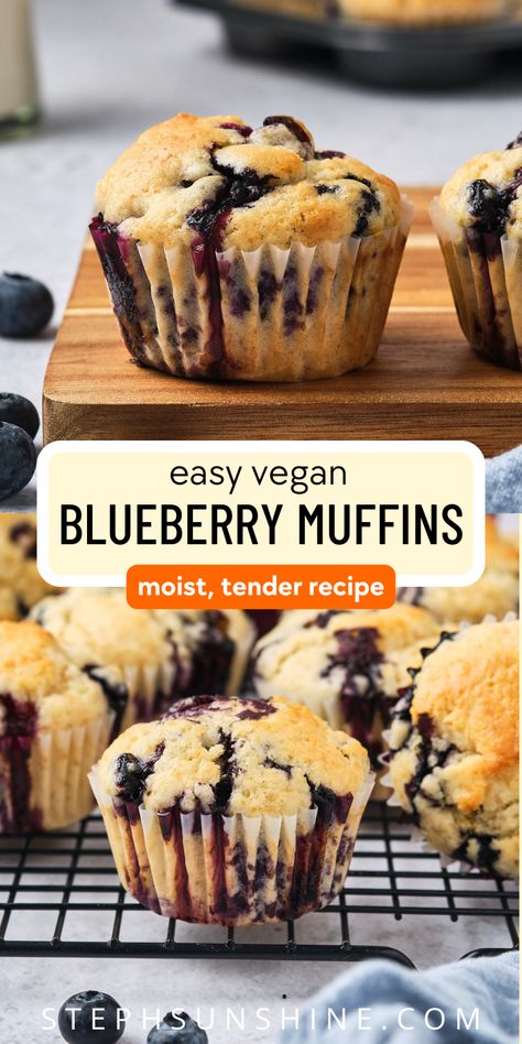 These moist and tender blueberry muffins are easily the best I've had, vegan or not! But they are vegan, and even better, they're super easy to make. Try this recipe and let me know what you think! Easy Vegan Blueberry Muffins, Blueberry Vegan Muffins, Blueberry Recipes Vegan, Vegan Muffins Blueberry, Refined Sugar Free Blueberry Muffins, Vegan Muffins Easy, Egg Free Blueberry Muffins, Vegan Blueberry Bread, Quick Vegan Snacks