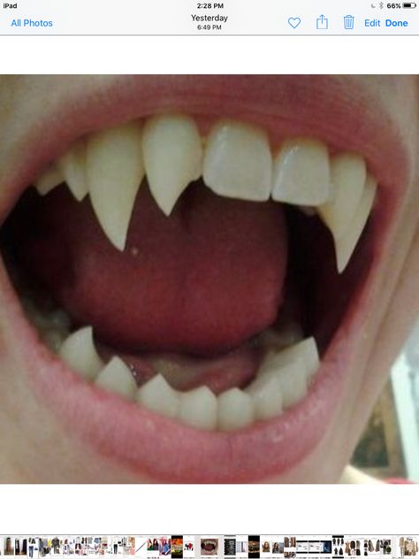 Violet's Werewolf teeth Teeth Aesthetic, Demon Aesthetic, Cerise Hood, Werewolf Aesthetic, Vampire Fangs, Vampire Teeth, Vampire Girls, Open Mouth, Body Mods