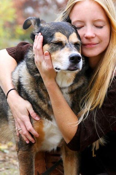 Petting Dog Pose Reference, Dog Hugging Human, Human With Animal, Pose With Dog, Dog And Person, Hugging Animals, Connection Branding, People With Dogs, Hugging Dog