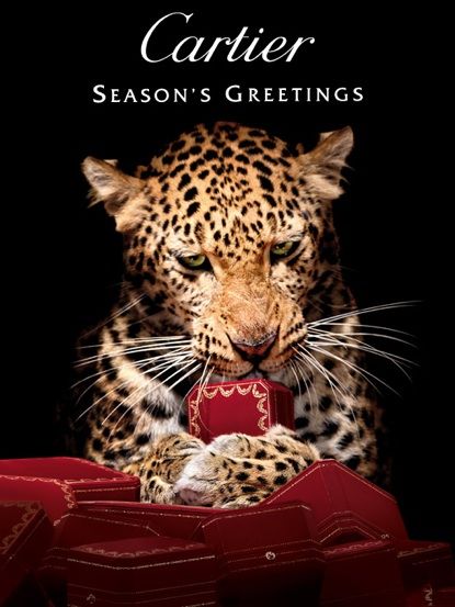 Cartier ad Cartier Panther, Mode Editorials, Cartier Panthere, Animal Print Fashion, Picture Collage Wall, Photo Wall Collage, Picture Collage, Leopards, Aesthetic Collage