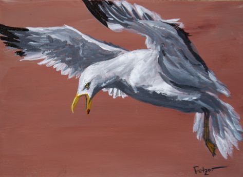 Angry Seagull 2, Acrylic 2018 Angry Seagull, Seagull Stealing Food, Seagull Oil Painting, Seagulls In Flight Paintings, Seagulls Flying Photography, Creek Art, Shrimp Boat, Nature Artists, Acrylic Artists