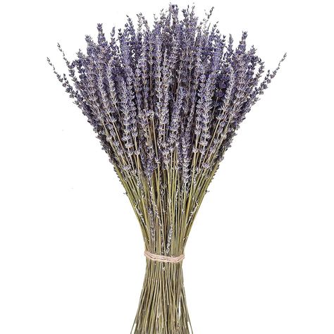 june-fox-dried-lavender-stems Pride Diy, Cottage Style Interiors, Diy Tableware, Candles Fragrance, Dried Lavender Flowers, Cottage Style Decor, Country Cottage Style, Flowers Dried, Flowers Decor