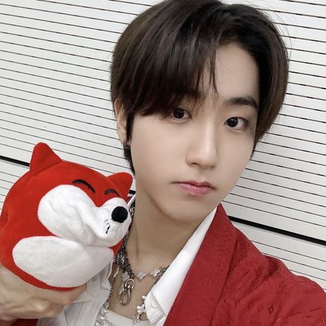 straykids han jisung icon #straykids Han Cute Icon, Skz Han Icon, Straykids Han Jisung, Han Jisung Icon, Han Icon, Love Your Smile, Cute Squirrel, Baby Squirrel, Cat Icon