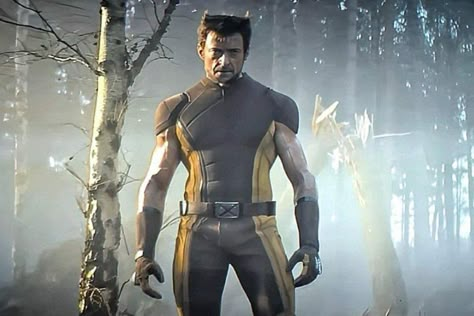 Wolverine Suit, Wolverine Icon, Wolverine Cosplay, Photo Mannequin, Wolverine Movie, Boys Artwork, Tactical Armor, X-men, Deadpool And Wolverine