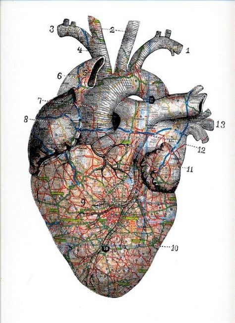 Map of my heart The Human Heart, Human Heart, Gcse Art, Art And Illustration, Anatomy Art, Heart Art, Map Art, A Heart, Assemblage