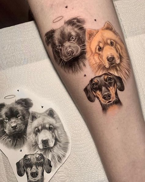 best dog tattoo ideas |  couple tattoo ideas matching Tattoo Idea For Dog Lover, Multiple Dog Tattoo, Men Tattoo Ideas With Meaning, Pet Tattoos Dog Memorial, Men Small Tattoo, Unique Dog Tattoo Ideas, Couples Tattoo Ideas, Tattoo Ideas Couple, Pet Portrait Tattoo