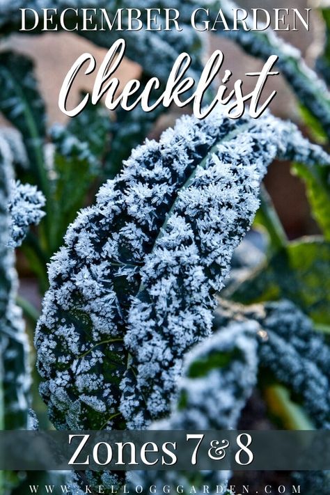 December Checklist, Winter Garden Ideas, Cold Climate Gardening, Garden Checklist, Full Garden, Edible Gardening, Beginner Gardening, Winter Vegetables Gardening, Round Garden