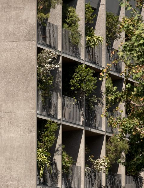 Image 7 of 23 from gallery of TRUNK (HOTEL) YOYOGI PARK / Keiji Ashizawa Design. Photograph by Karl Tranberg Trunk Hotel, Keiji Ashizawa, Concrete Exterior, Yoyogi Park, Urban Housing, Green Facade, Rooftop Lounge, Small Pendant Lights, Tokyo Hotels