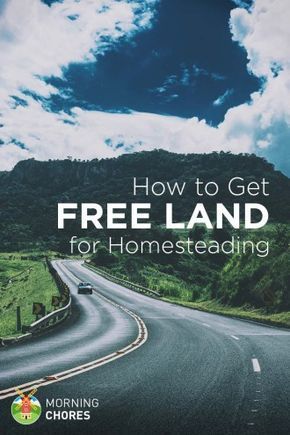 Can you believe it? You can get 100% free lands in the US even in this 21st century. Make sure to read this if you want to start homesteading. Homestead Land, Free Land, Cheap Land, Off Grid Homestead, Homesteading Diy, Homestead Farm, Homesteading Skills, Urban Homesteading, Living Off The Land