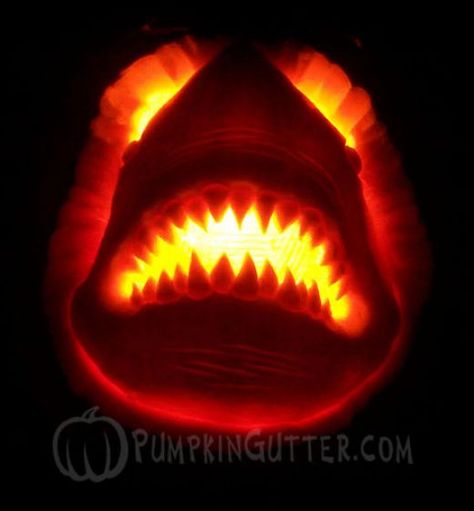 Jaws shark pumpkin Jaws Pumpkin, Shark Pumpkin, Unique Pumpkin Carving, Amazing Pumpkin Carving, Scary Pumpkin Carving, Pumpkin Carving Designs, Giant Pumpkin, Pumpkin Carving Ideas, Halloween Pumpkin Designs