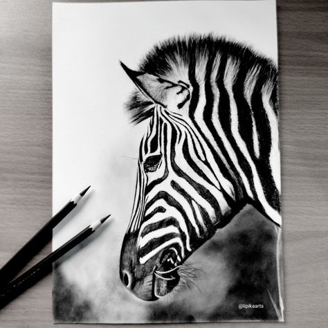 Complete charcoal drawing 2021 Easy Animal Sketches For Beginners, Charcoal Art For Beginners Step By Step, Charcoal And Watercolor Art, Charcoal Art Animals, Zebra Drawing Easy, Charcoal Animal Drawings, Charcoal Art For Beginners, Pencil Sketches Architecture, Charcoal Sketches Easy