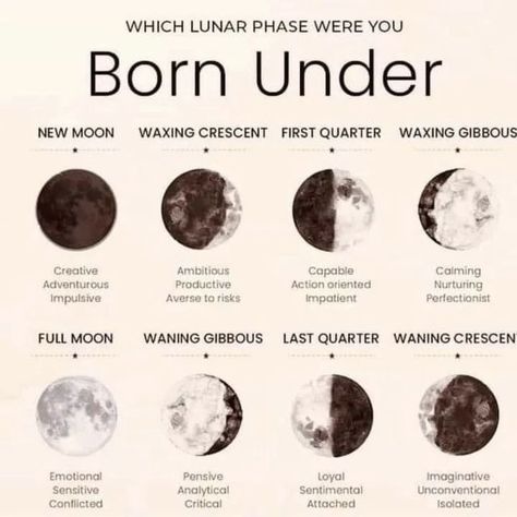 Phase Of The Moon, Phone Protector, Child Of The Universe, Spiritual Journals, Birth Chart Astrology, Learn Astrology, Witchcraft Spell Books, Witch Spell Book, Lunar Phase