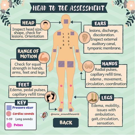 Cardiovascular Assessment Nursing, Full Body Assessment Nursing, Head To Toe Assessment Cheat Sheet, Head To Toe Assessment Nursing, Health Assessment Nursing, Med Surge, Health Background, Neurological Assessment, Nursing School Studying Cheat Sheets