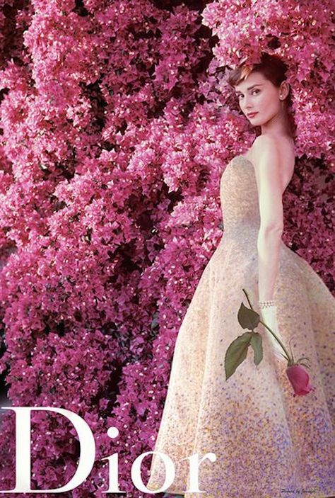 Audrey Hepburn for Miss Dior 1955 Audrey Hepburn Modeling, Audrey Hepburn Outfit, Audrey Hepburn Photos, Audrey Hepburn Style, Hepburn Style, Actrices Hollywood, Dior Addict, Dior Couture, Trik Fotografi