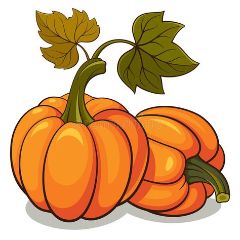 Pumpkin Drawing, Pumpkin Images, Pumpkin Illustration, Pumpkin Vector, Orange Plant, Autumn Background, Fall Coloring Pages, Food Fruit, Fall Food