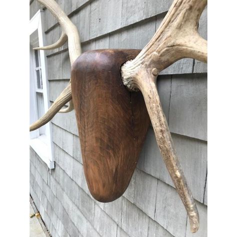 Large pair of American Elk antlers mounted on a hand carved antique pine wood head. This is a monumental size trophy, incorporating Western, Adirondack, and Folk Art elements, creating a dramatic eye catching focal point for any room.  Unlike an actual taxidermy, it does not require a tremendous depth, and will not project so forward, making it applicable in more locations. The antlers have a slight looseness to them, but are firmly attached, and maintain a beautiful natural color. European Elk Mount Decor, Elk Head Decor, European Elk Mount, Mounted Deer Head, Elk Skull Mount, Elk Head, Antler Mount, Elk Antlers, Dramatic Eyes