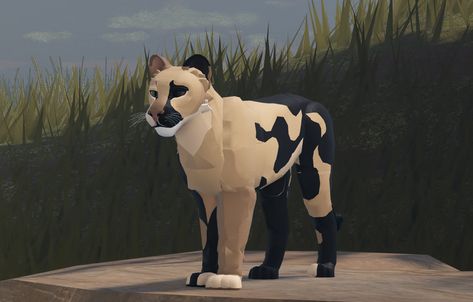 Alp Morphs, A Lions Pride Morph Ideas, Roblox Lions Pride Oc, Lion Pride Roblox Ideas, Roblox Warrior Cats Ultimate Edition Oc Ideas, Lions Pride Morph Ideas, My Pride Lion Oc, A Lions Pride Morphs, Warrior Cats Lionblaze