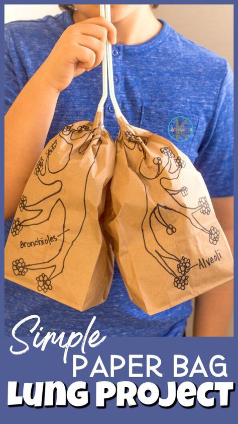 Photo of a simple paper bag lung project. Kid in a blue t-shirt holding two straws that have two inflated paperbag with the parts of the lungs drawn on them. The straws are up to his mouth and the paper bag are in front of his chest. Digestion Project, Digestive System For Kids, Human Body Crafts, Human Body Science Projects, Human Body Muscles, Body Systems Project, Human Body Printables, Human Body Worksheets, Human Body Projects